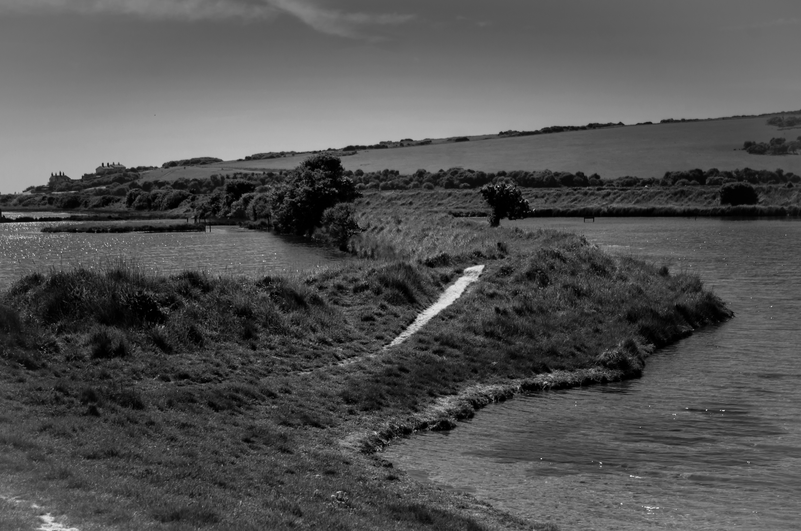 Broadfield and Vortal Homes Secure Dorset’s First Biodiversity Net Gain Habitat Bank