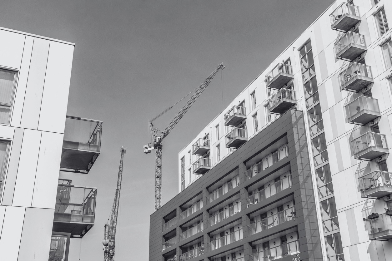 A New Chapter for Architects’ PI Cover: The Wren Takes Flight